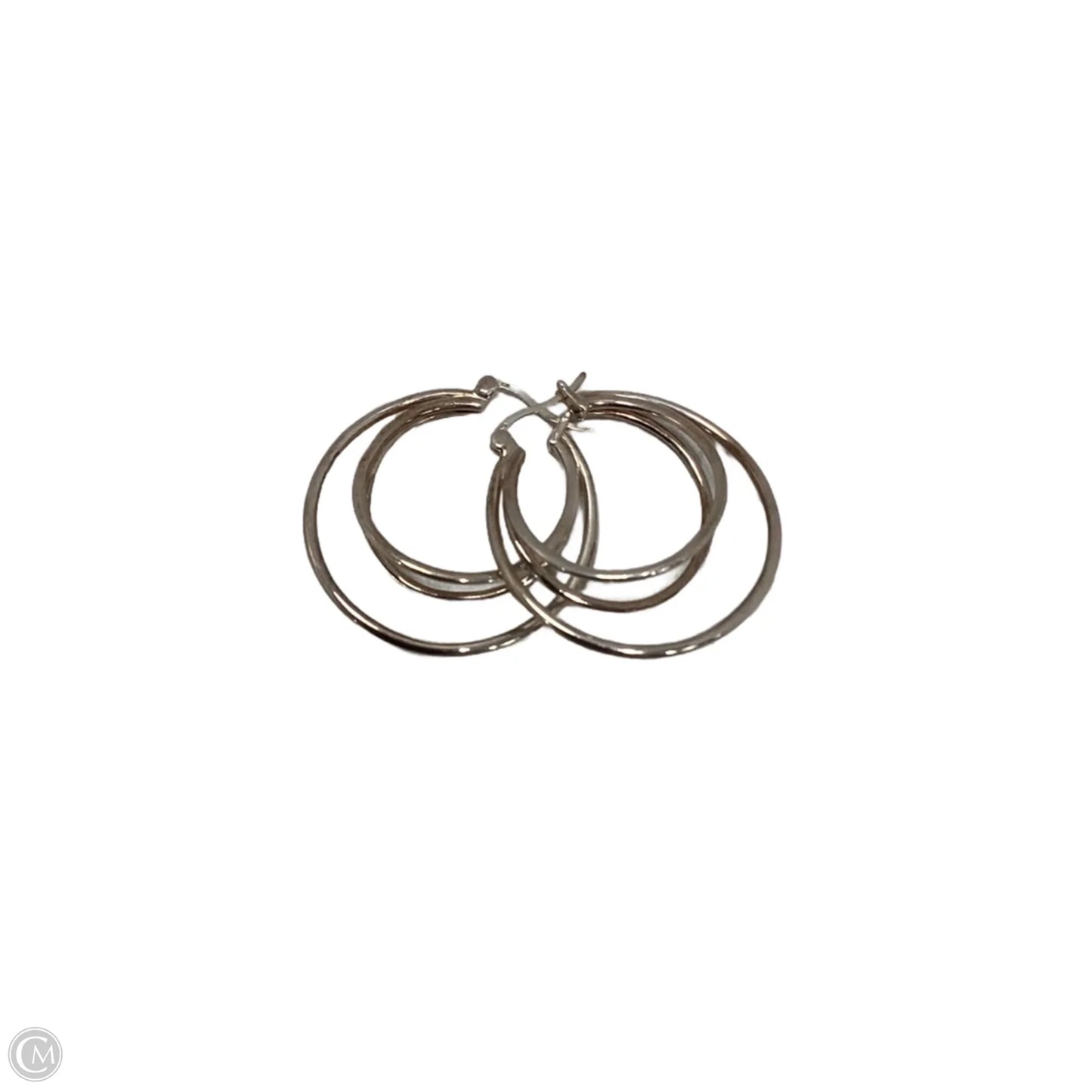 Earrings Hoop By Sierra Winter