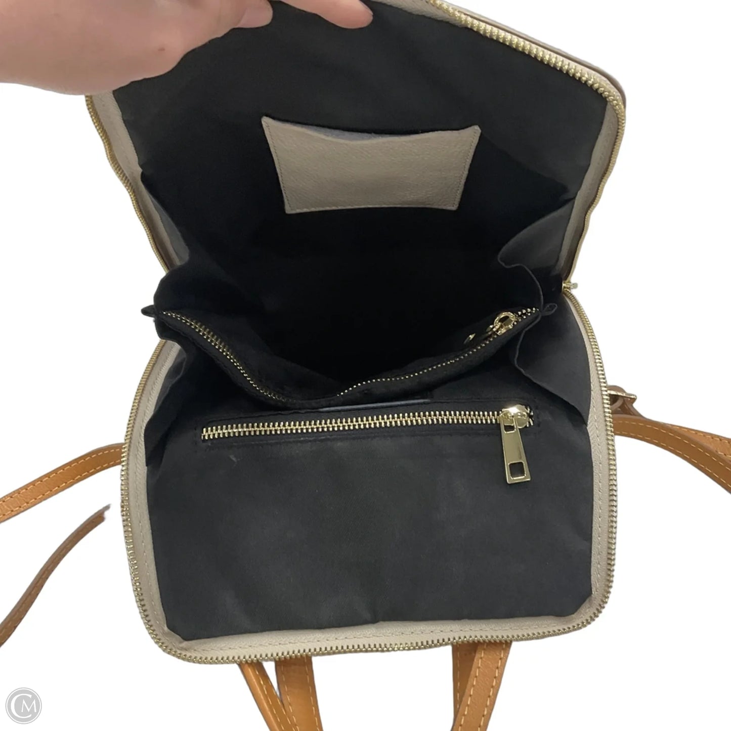 Backpack Leather By Divinia Firenze, Size: Small