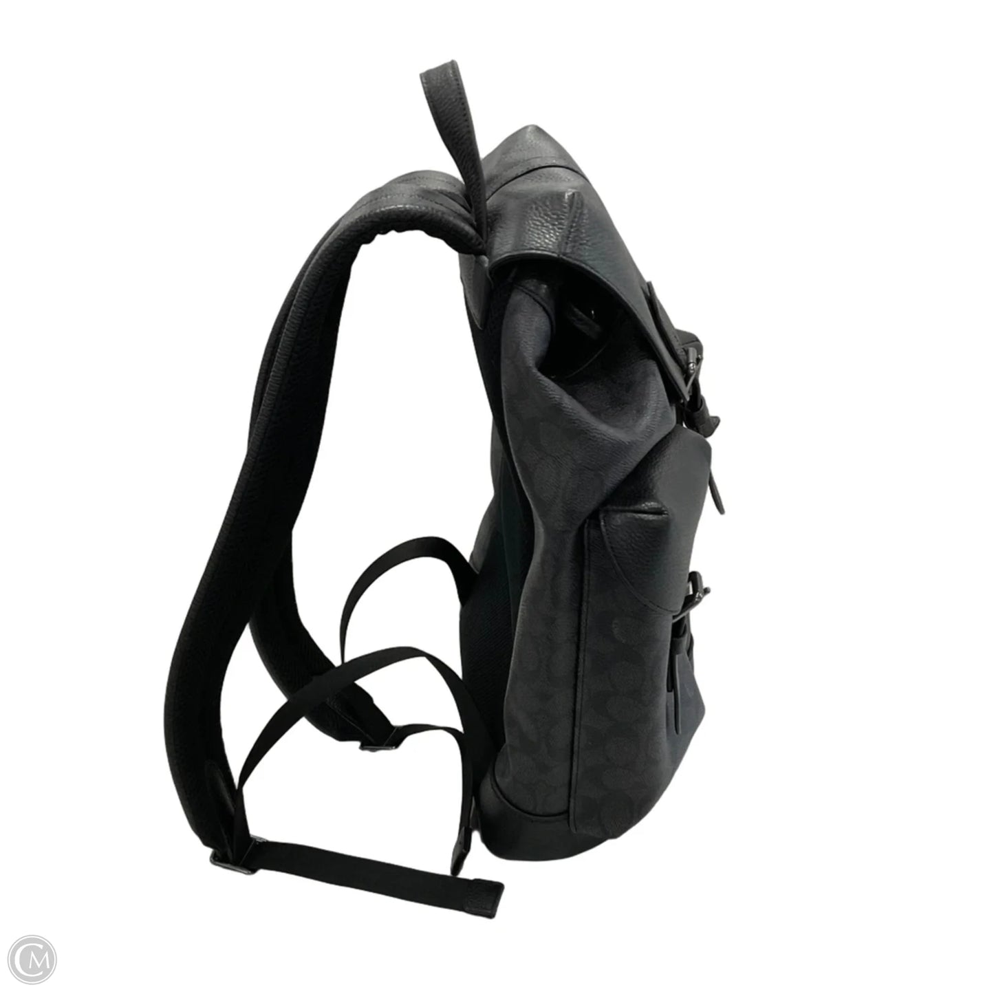 Backpack Designer By Coach, Size: Large