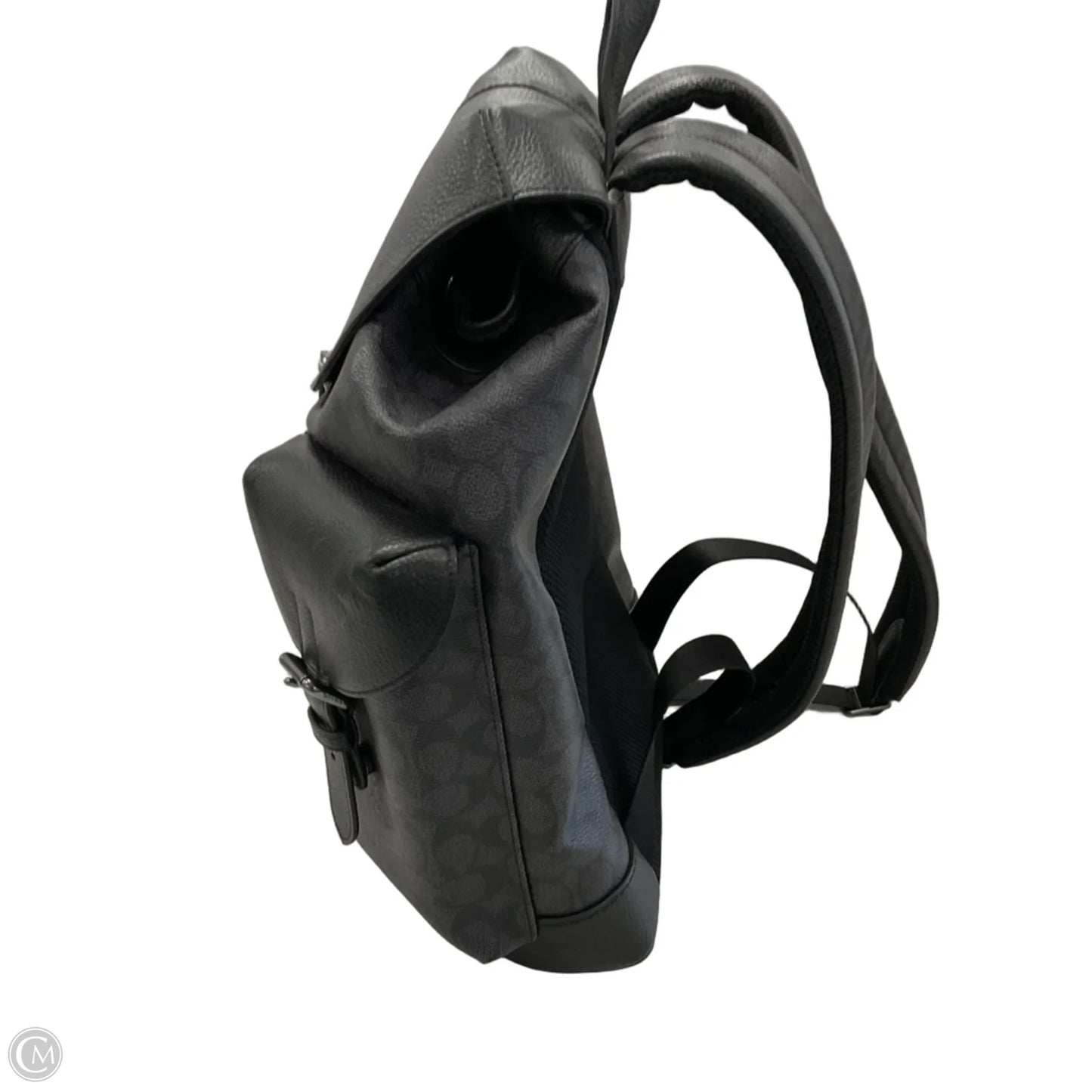 Backpack Designer By Coach, Size: Large