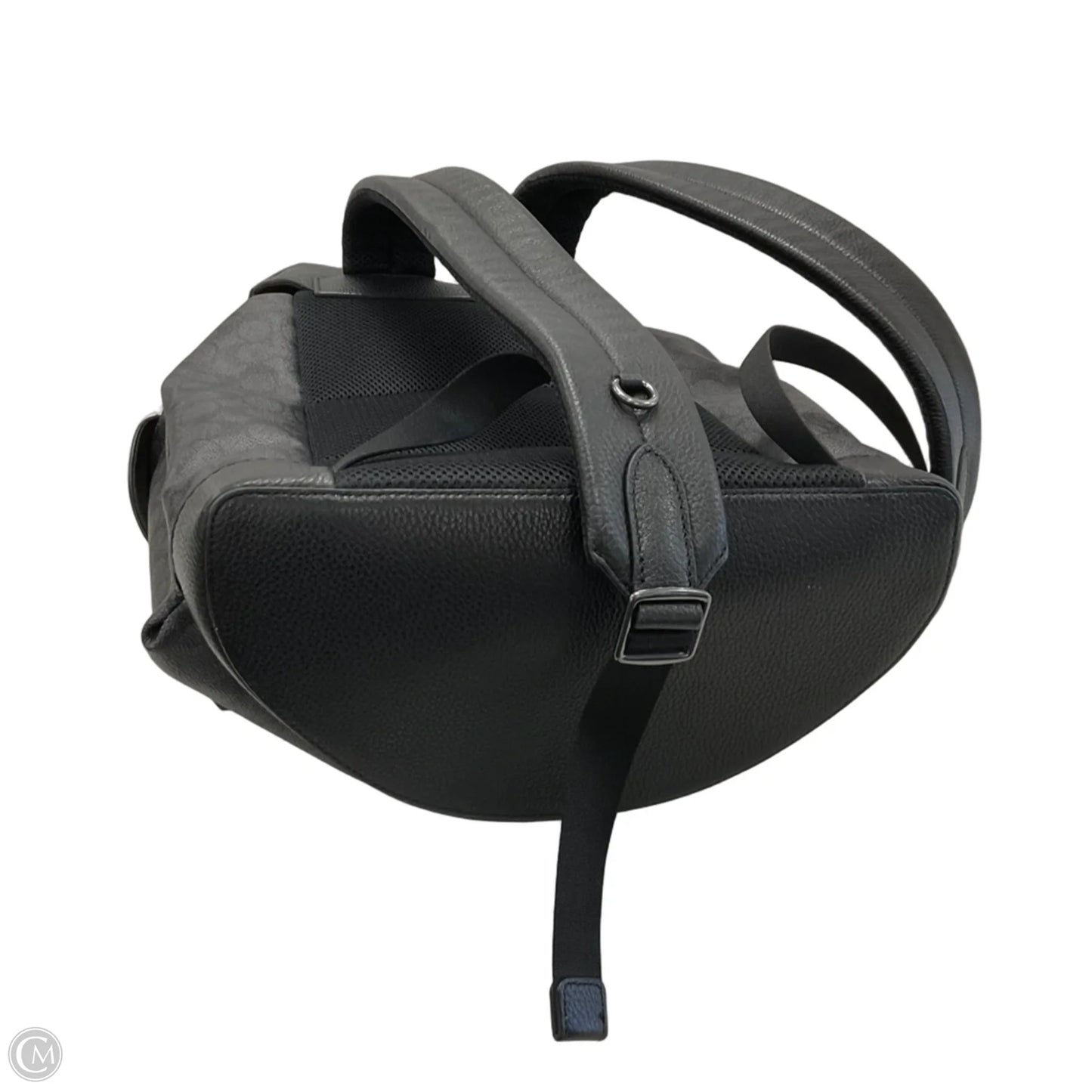 Backpack Designer By Coach, Size: Large