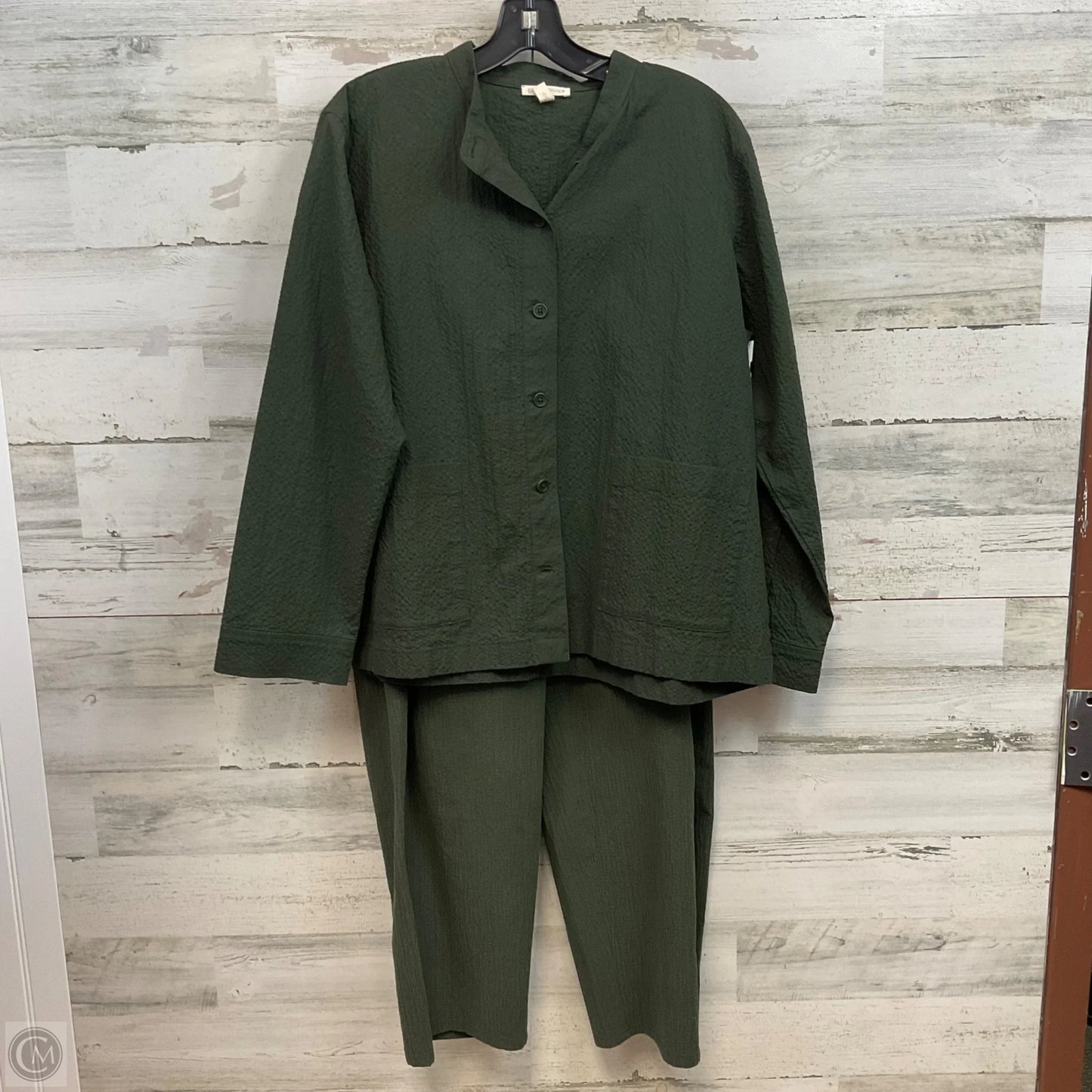 Top 2pc Long Sleeve By Eileen Fisher In Green, Size: L