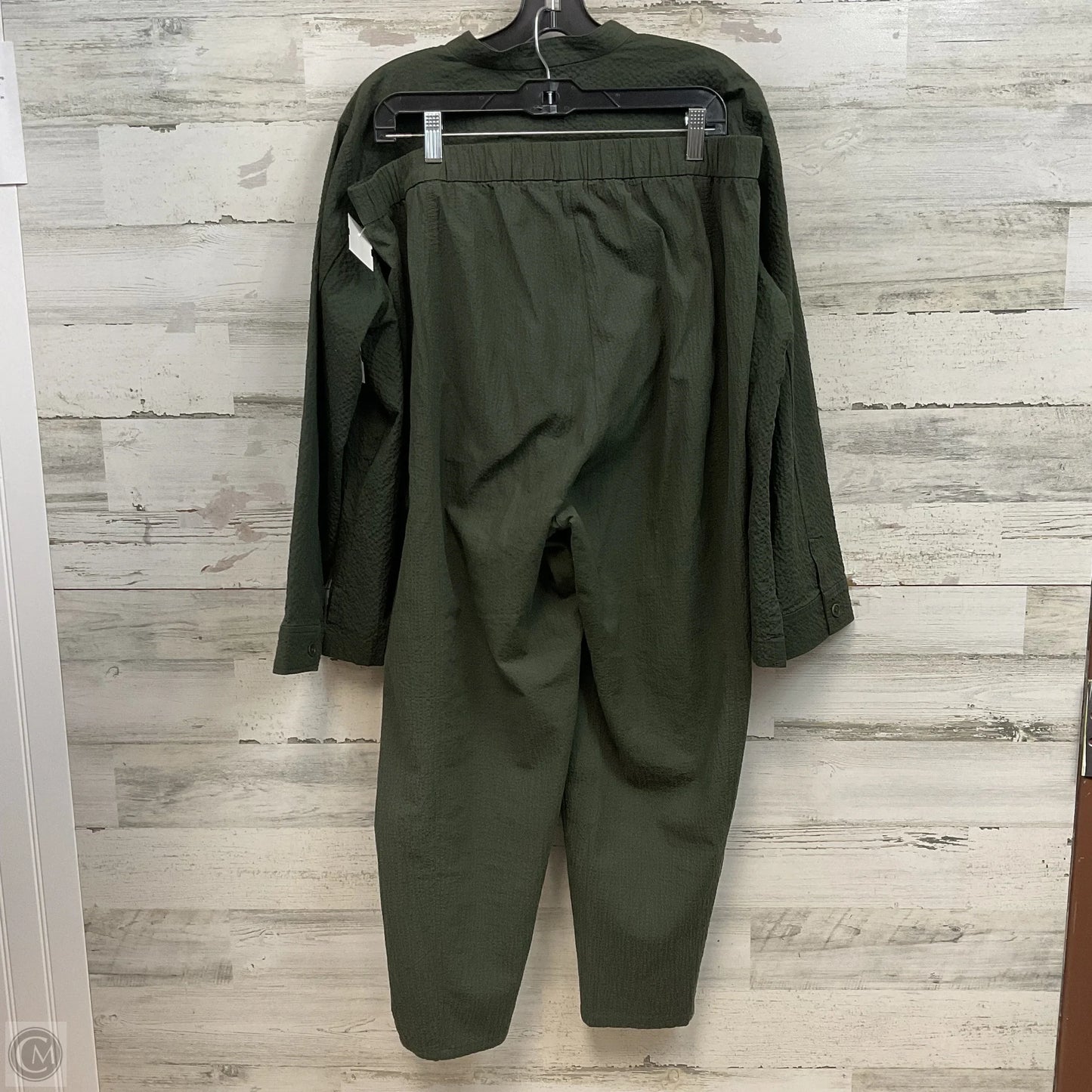 Top 2pc Long Sleeve By Eileen Fisher In Green, Size: L