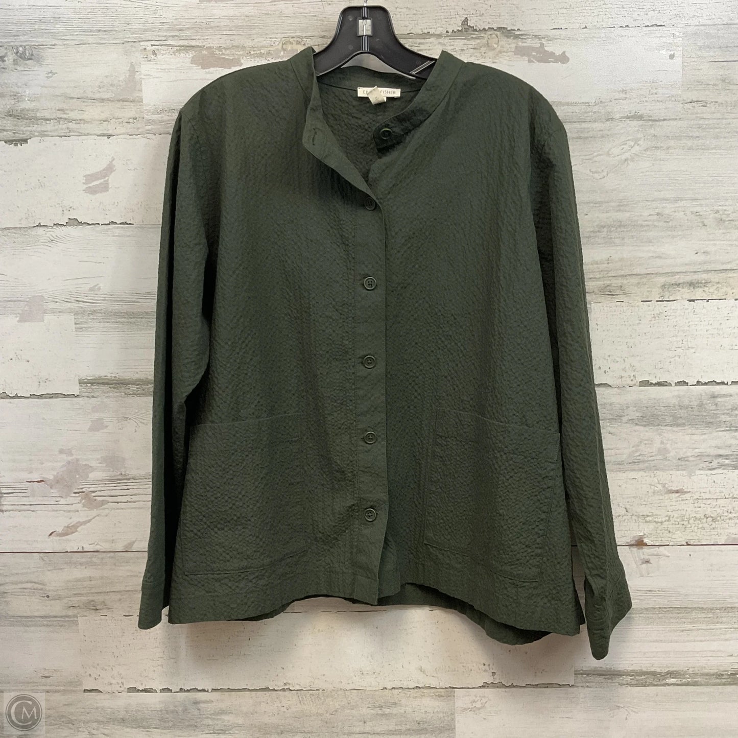Top 2pc Long Sleeve By Eileen Fisher In Green, Size: L