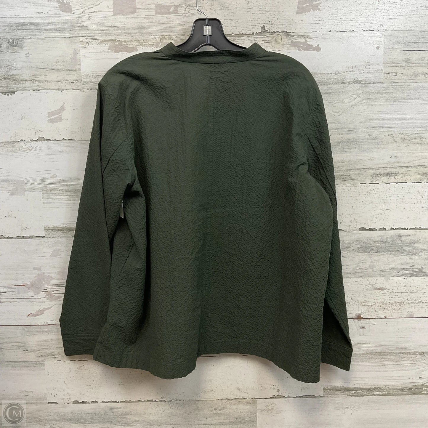Top 2pc Long Sleeve By Eileen Fisher In Green, Size: L