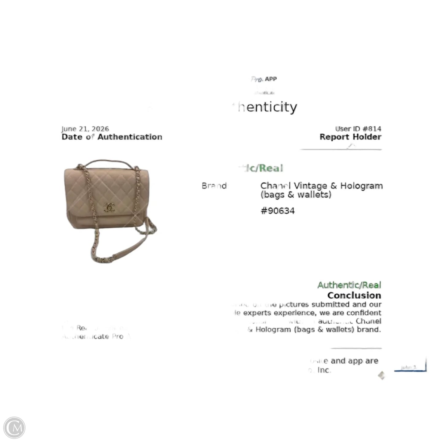Handbag Luxury Designer By Chanel, Size: Medium