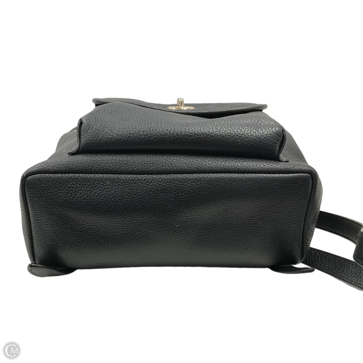 Backpack Designer By Coach, Size: Small