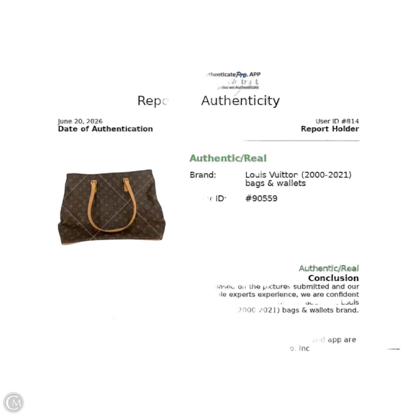Handbag Luxury Designer By Louis Vuitton, Size: Large