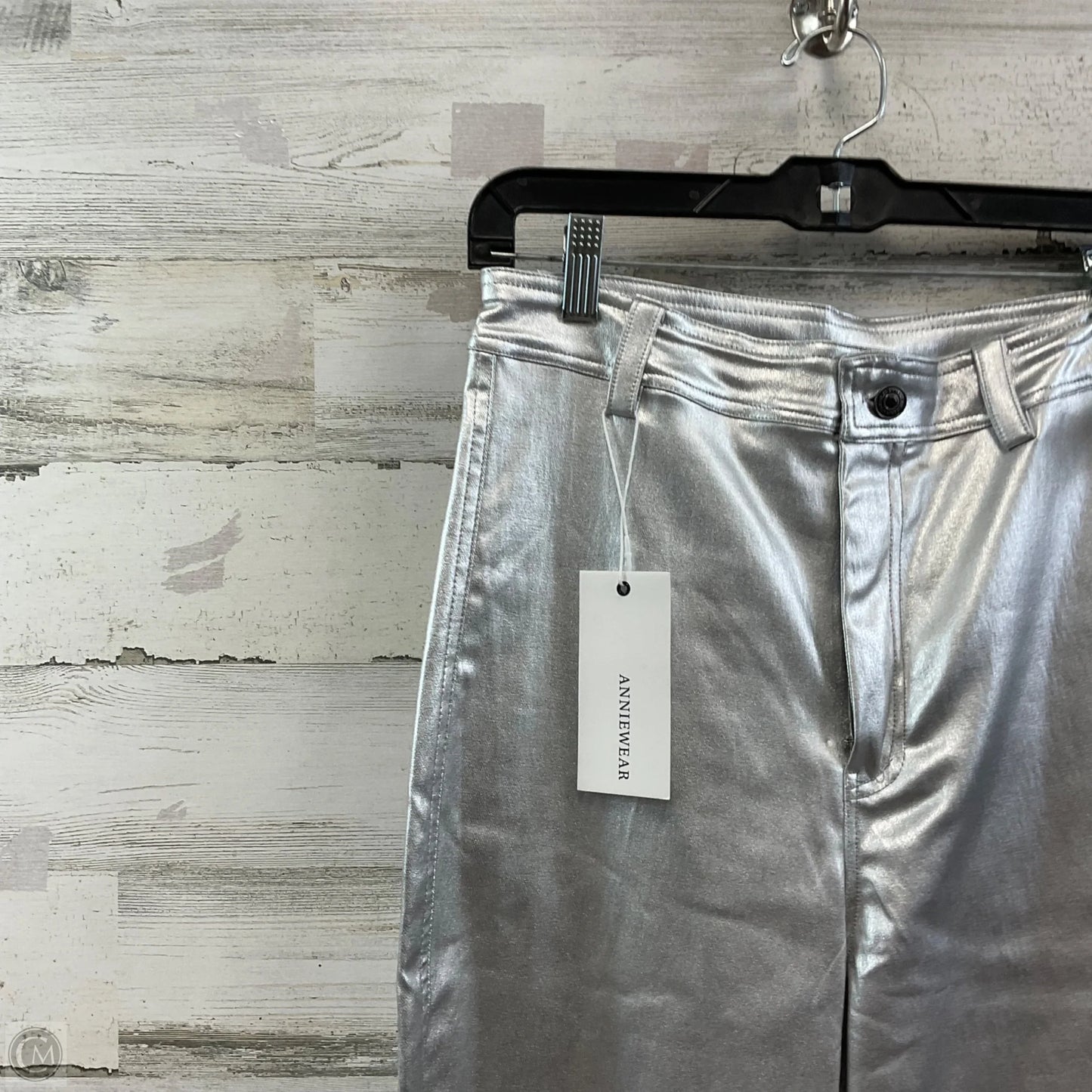 Pants Other By ANNIEWEAR In Silver, Size: M