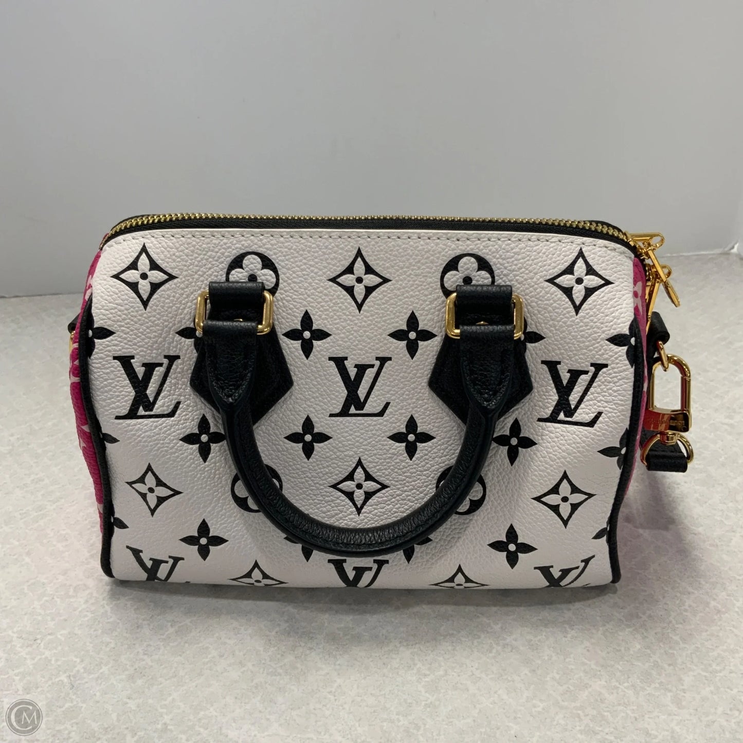 Handbag Luxury Designer By Louis Vuitton, Size: Small