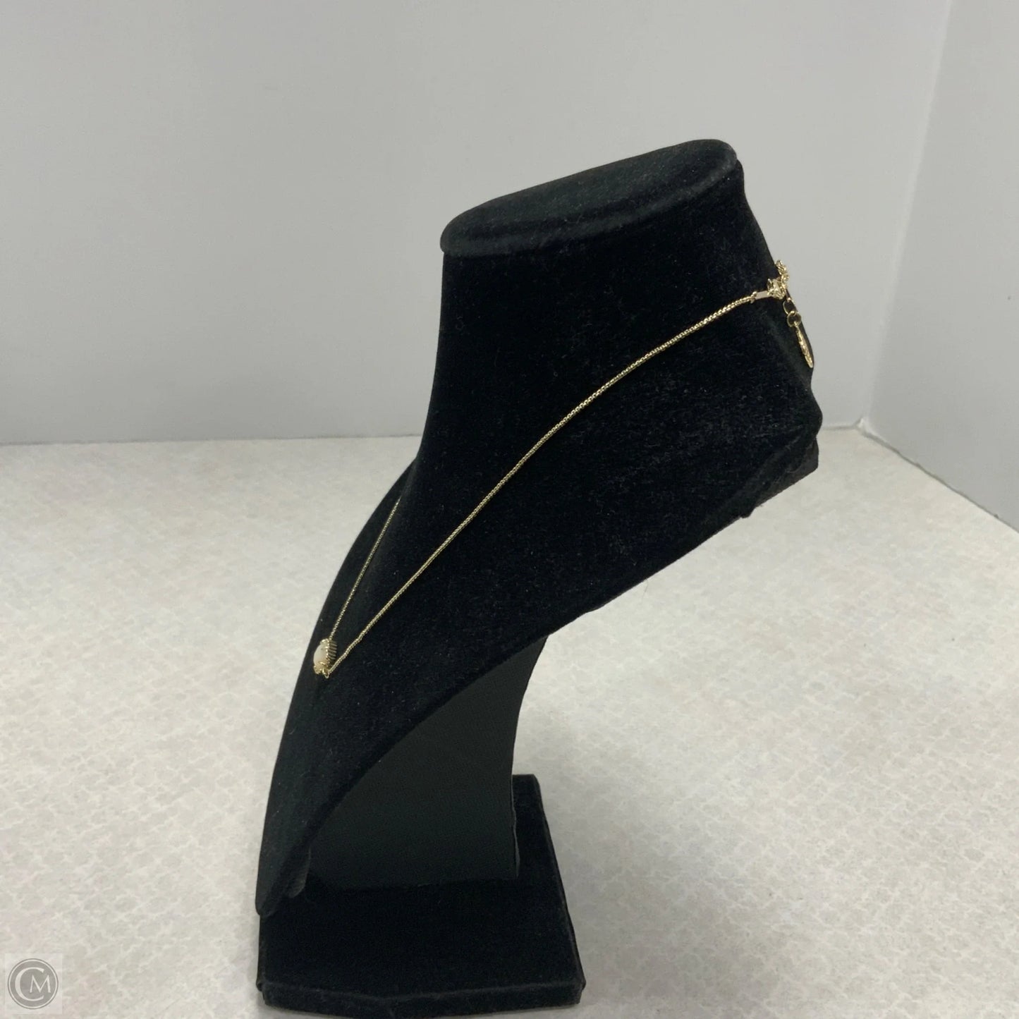 Necklace Chain By Kendra Scott