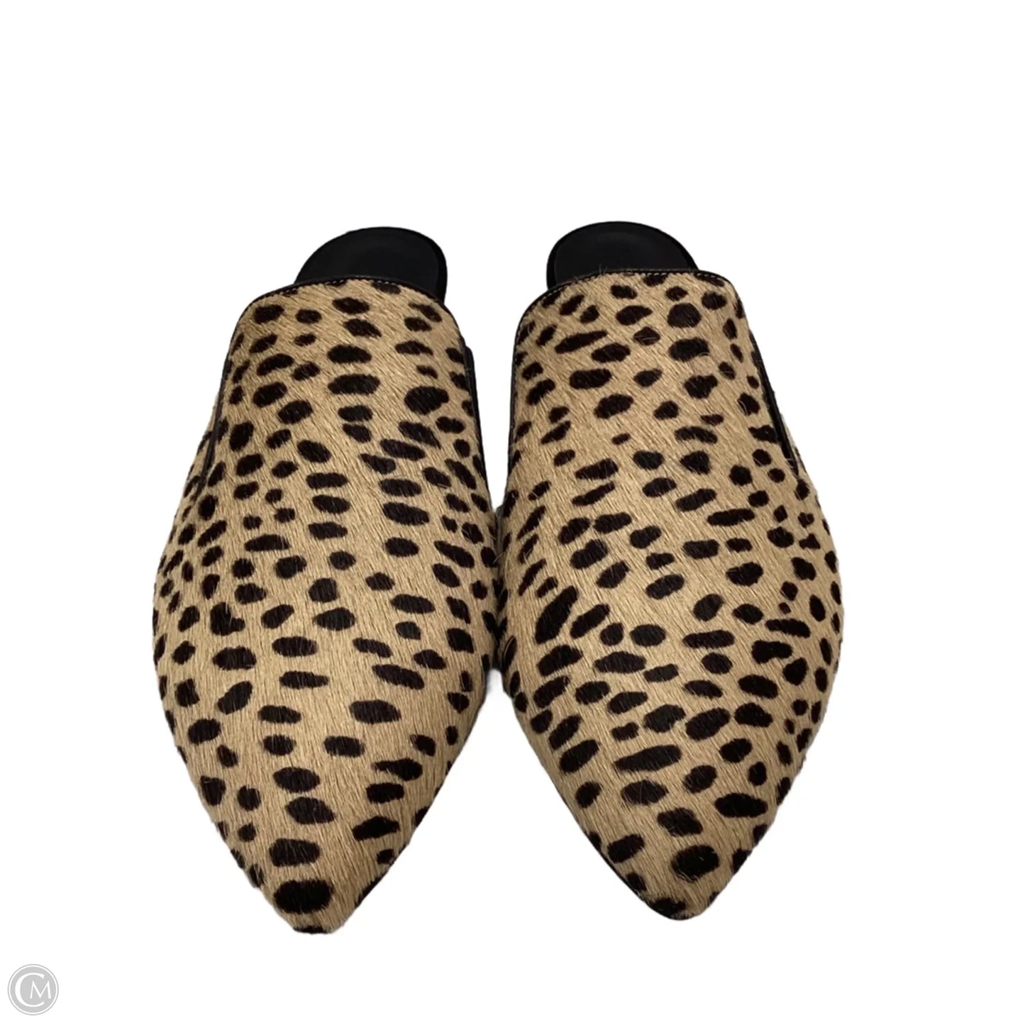 Shoes Flats By Jenni Kayne In Animal Print, Size: 9