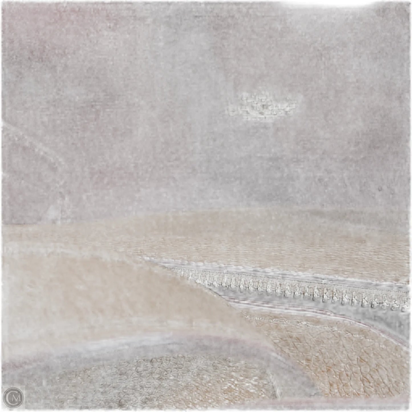 Handbag Designer By Coach, Size: Large