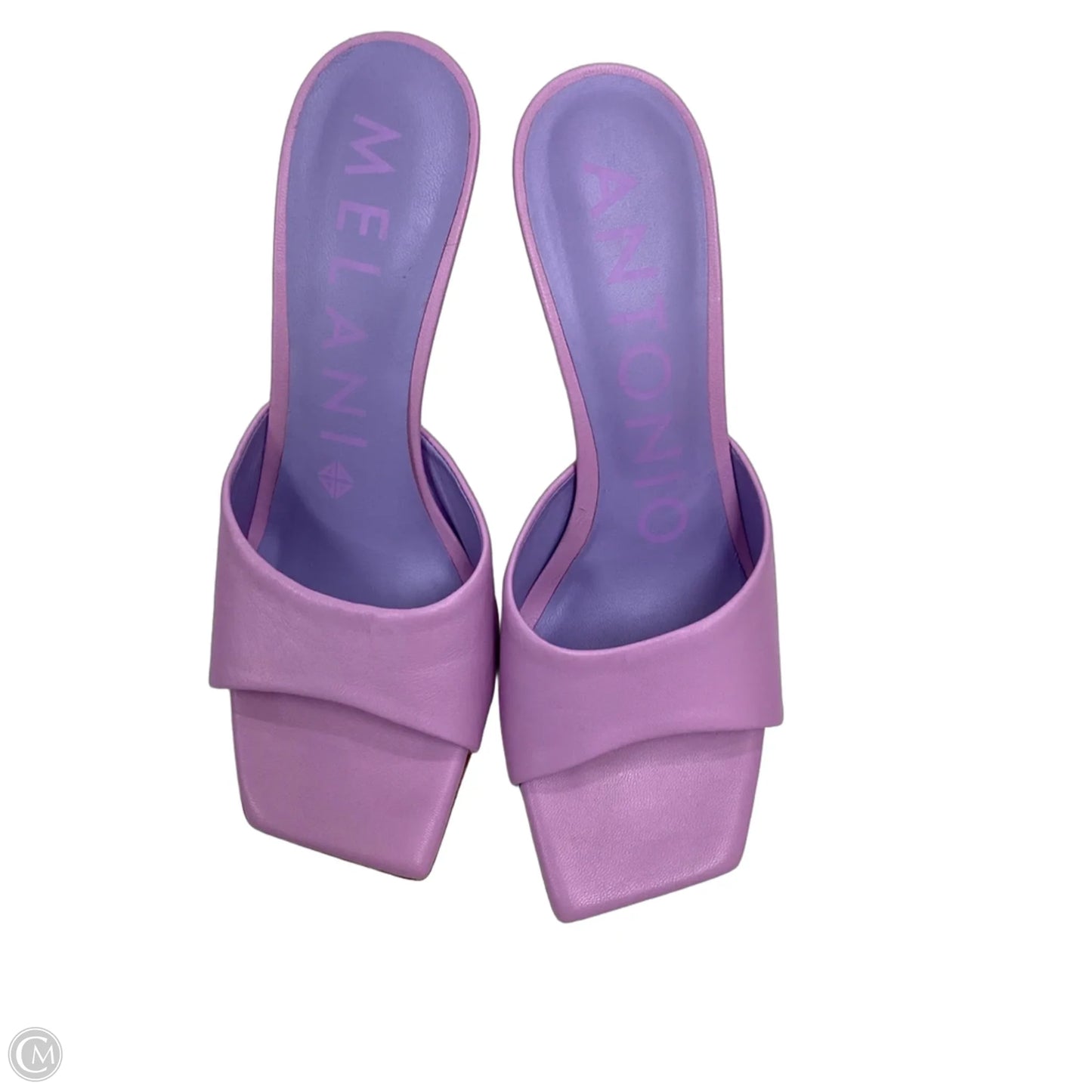 Shoes Heels Stiletto By Antonio Melani In Purple, Size: 8.5