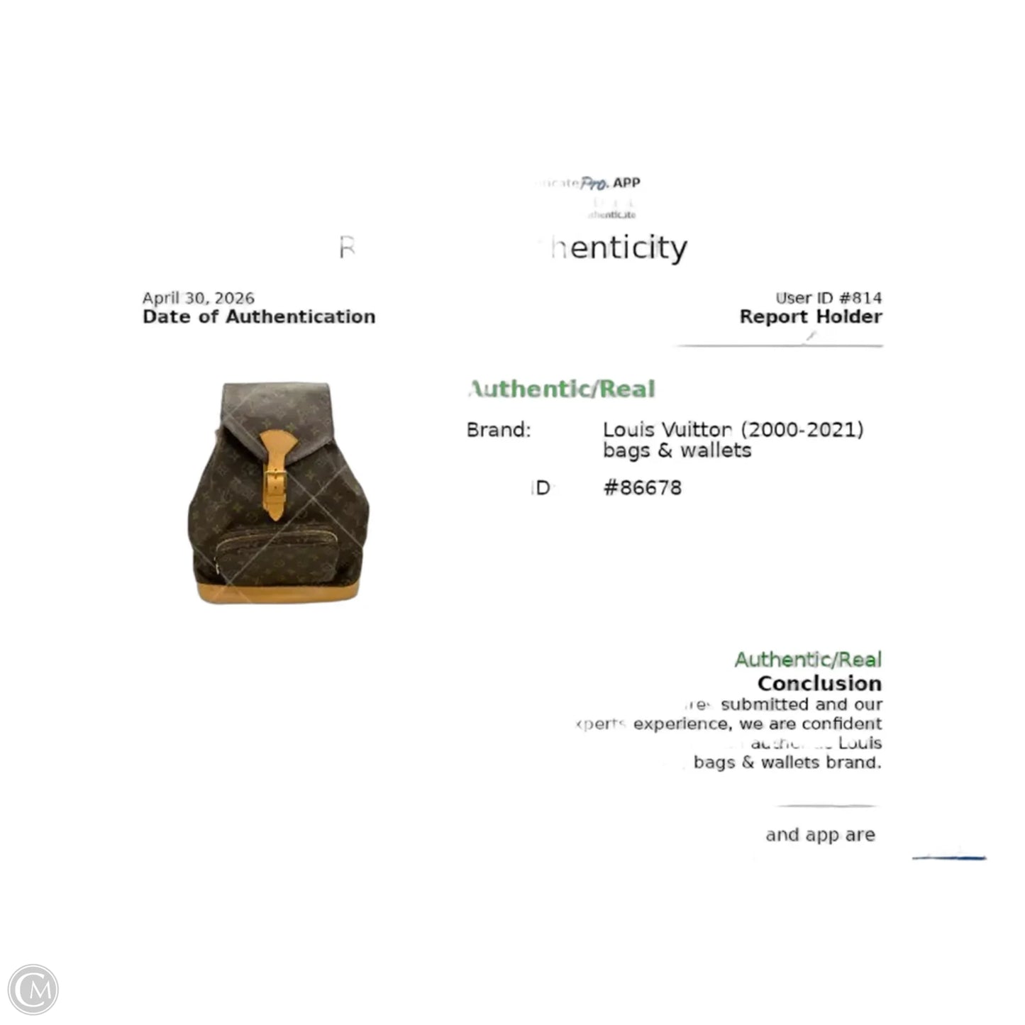 Backpack Luxury Designer By Louis Vuitton, Size: Large